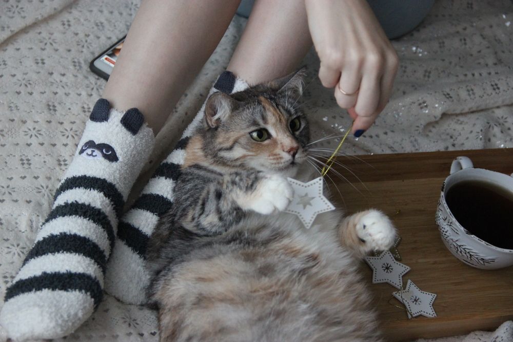 Photograph by Алексей Малеев