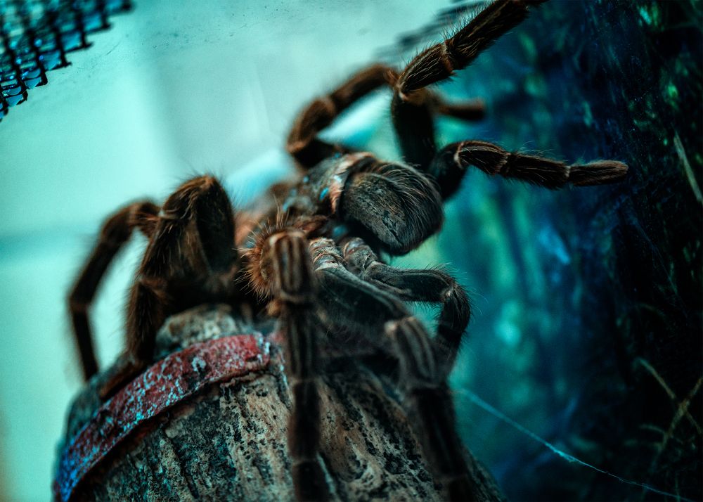 Photograph by Владимир Кваша