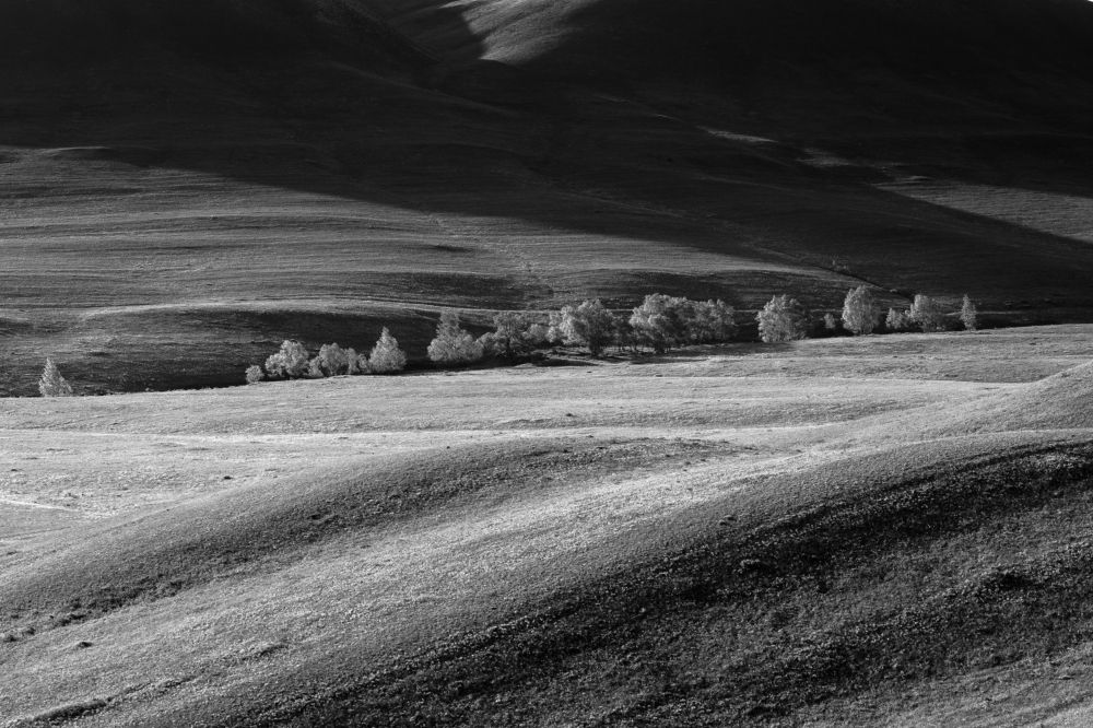 Photograph by Андрей Шарапов