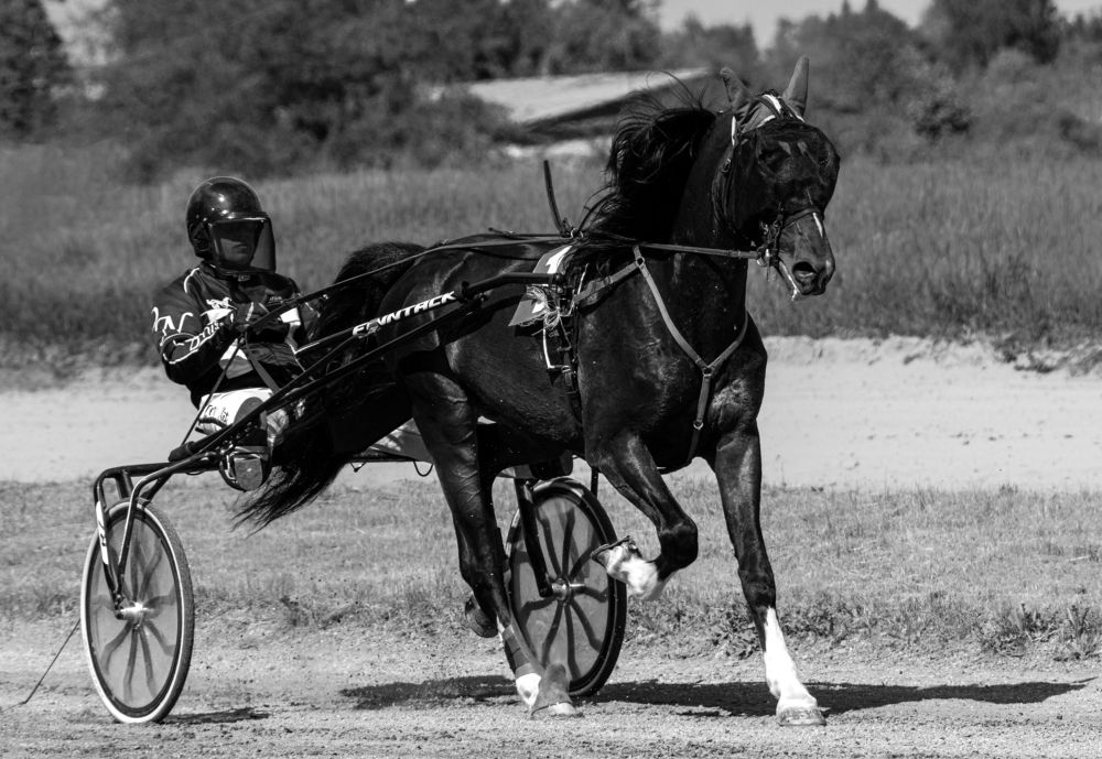 Photograph by Александр Перегудов