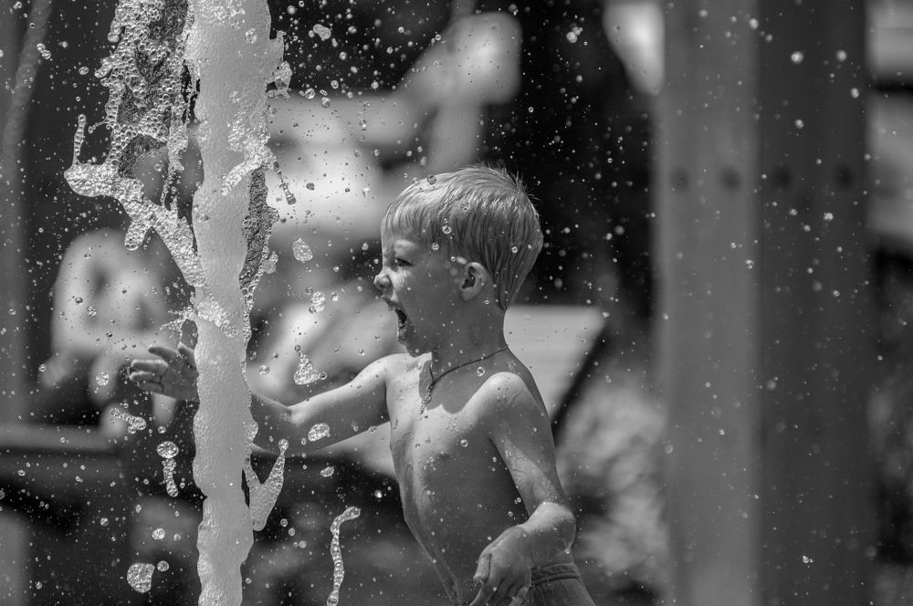 Photo #8805559