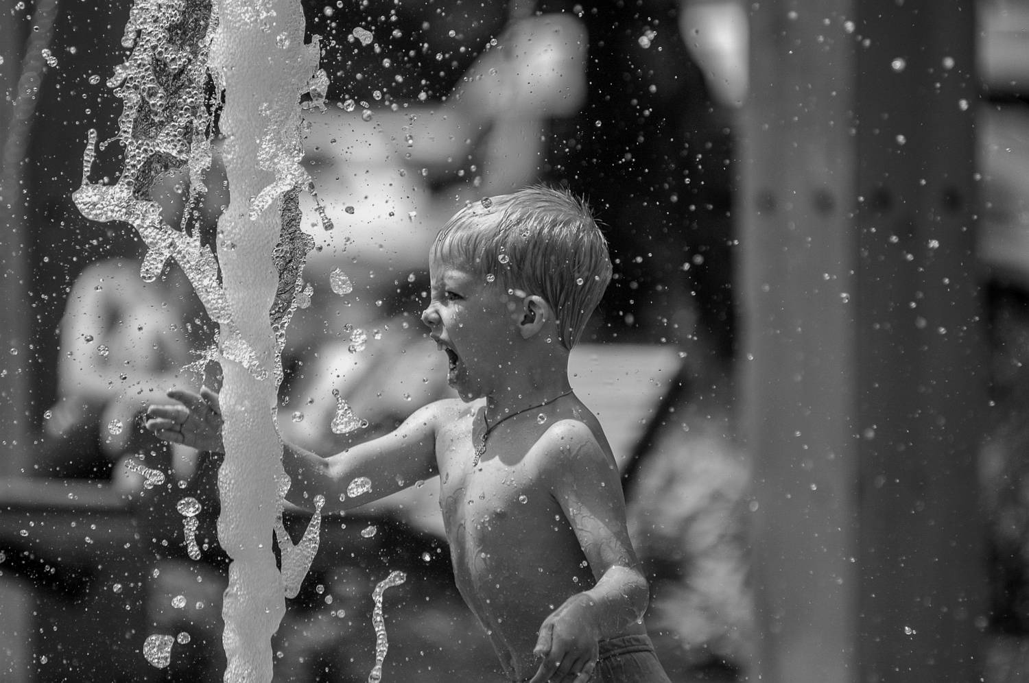 Photo #8805559