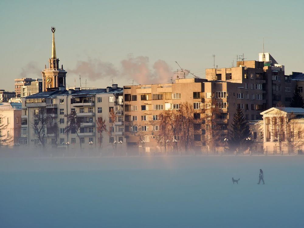 Photo #8805566