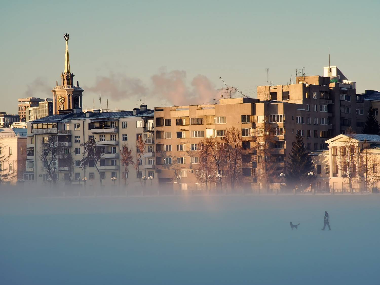 Photo #8805566
