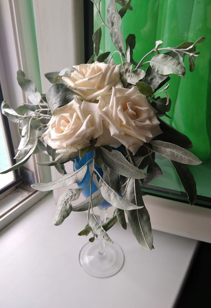 Photograph by Irinochka Zorina