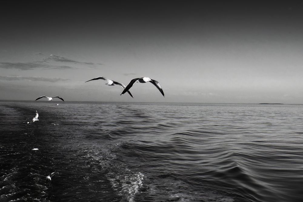 Photograph by Маргарита Смоленская