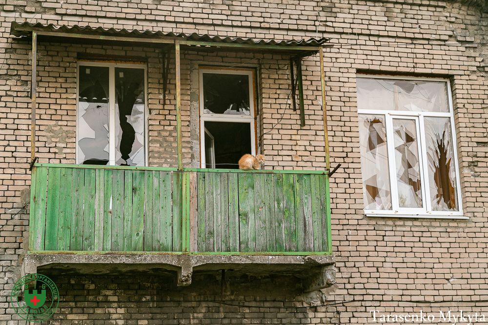 Photograph by Никита Тарасенко