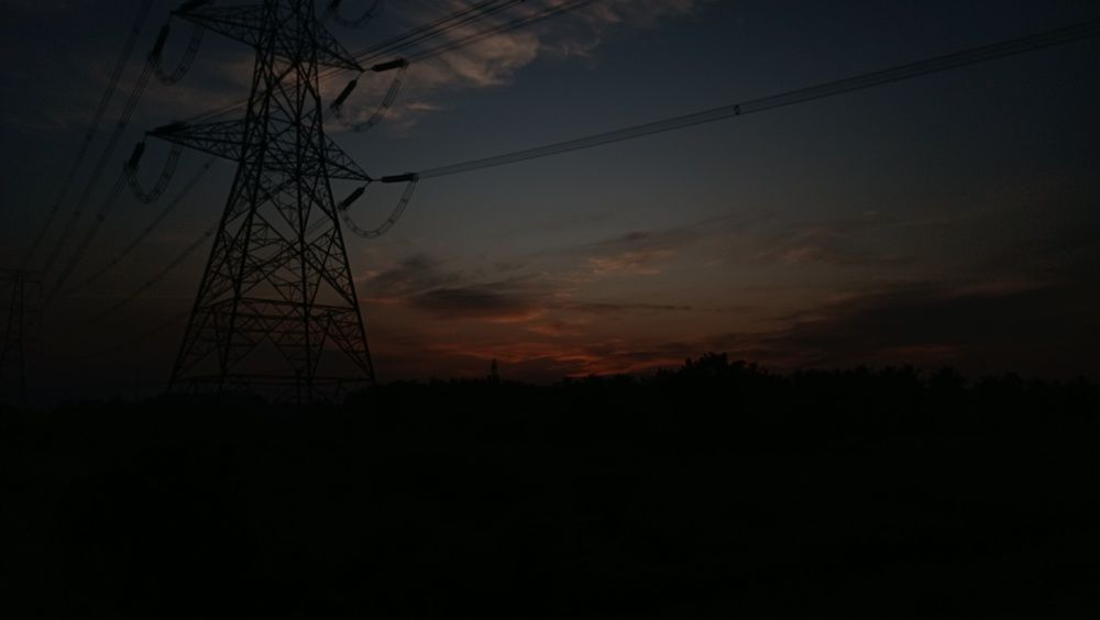 Photo #8805746