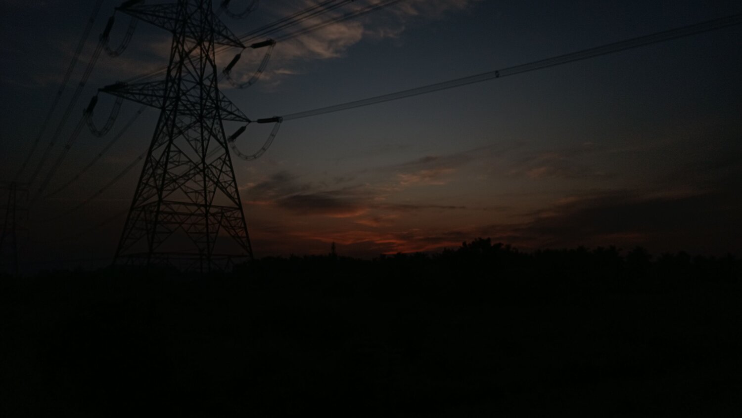 Photo #8805746