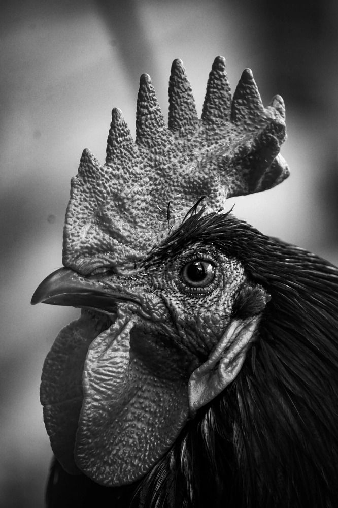 Photograph by Ася Весна