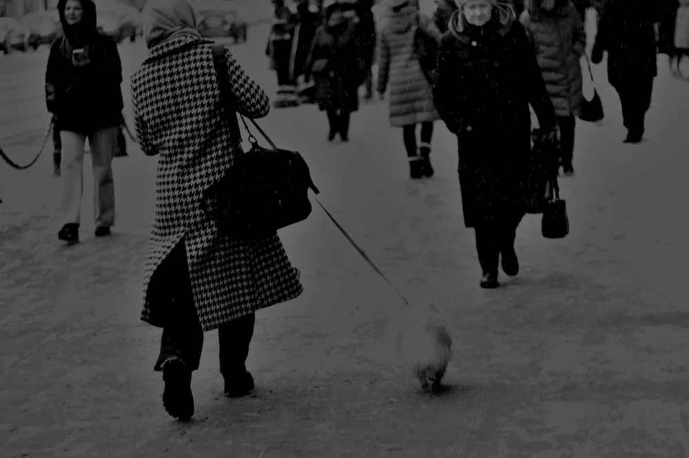 Фотография автора 