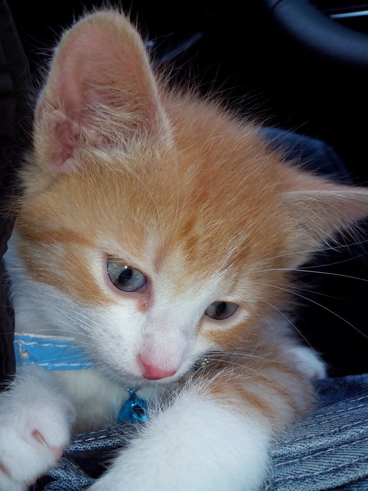 Фотография автора Виталий Дузь