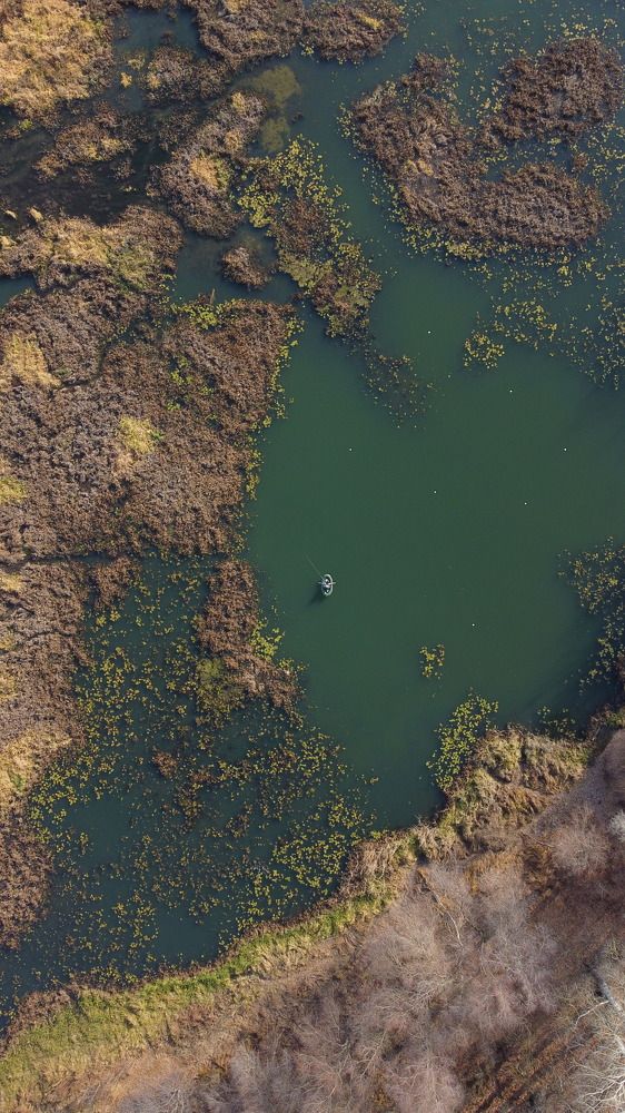 Photograph by сергей жуков