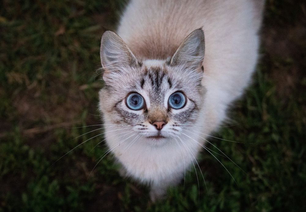 Photograph by Иван Мосьянов