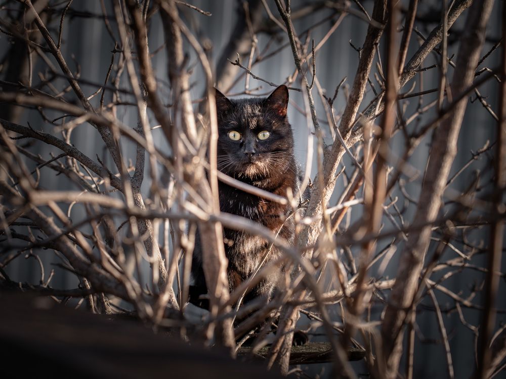 Photograph by Иван Мосьянов