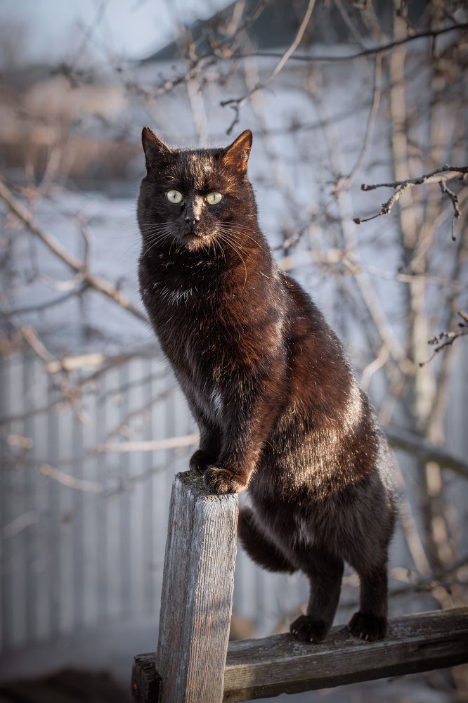 Photograph by Иван Мосьянов