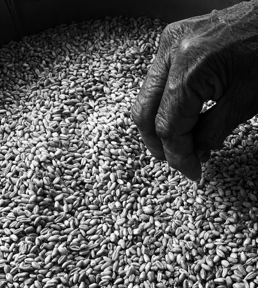 Photograph by Alberto Cendra