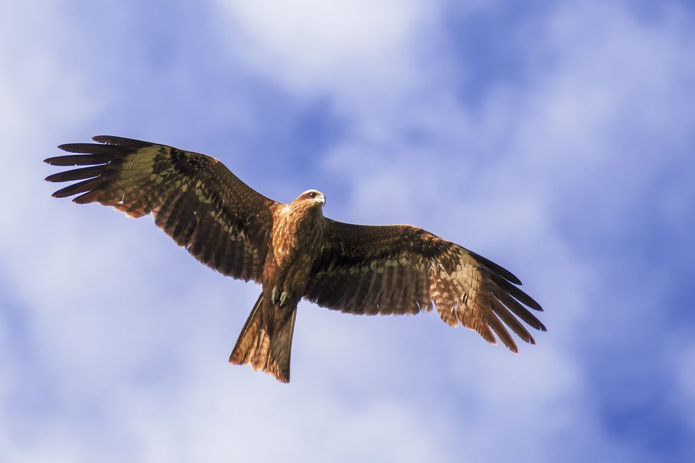 Photograph by Таипов Ильгиз