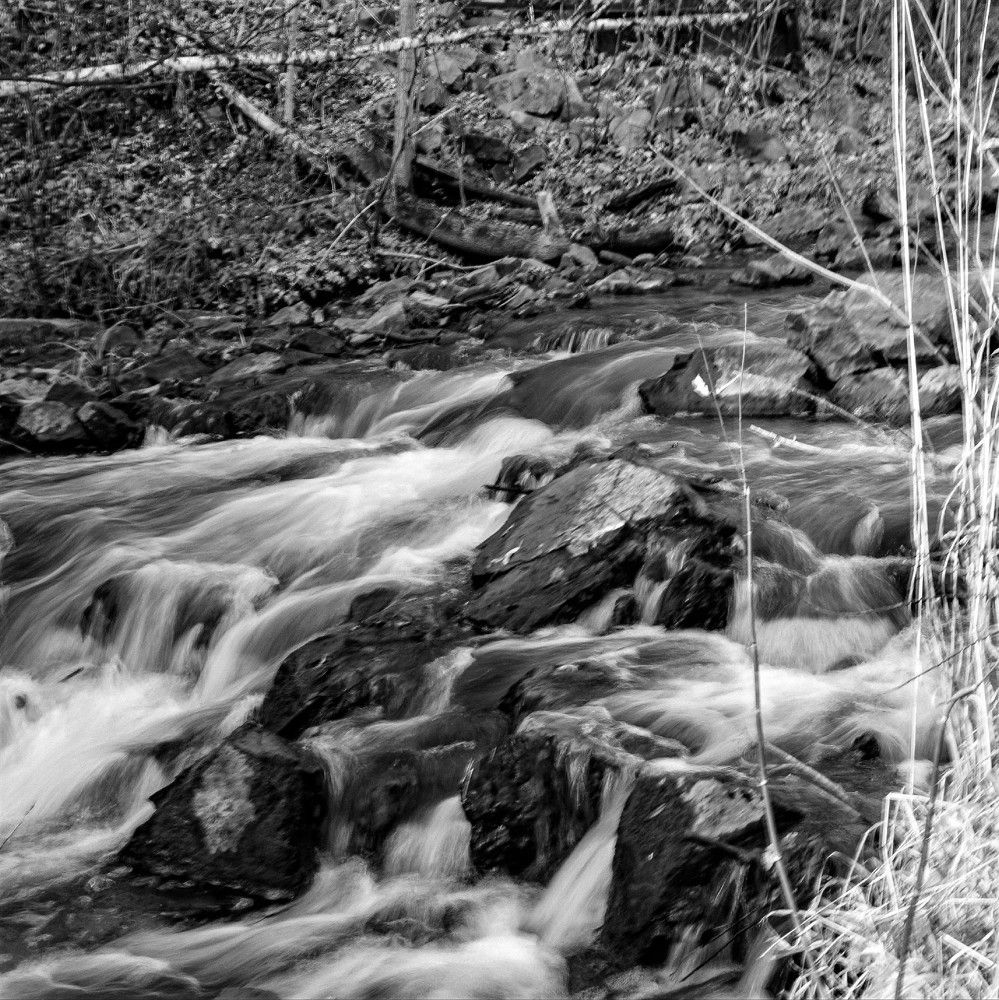 Фотография автора Максим Грибанов