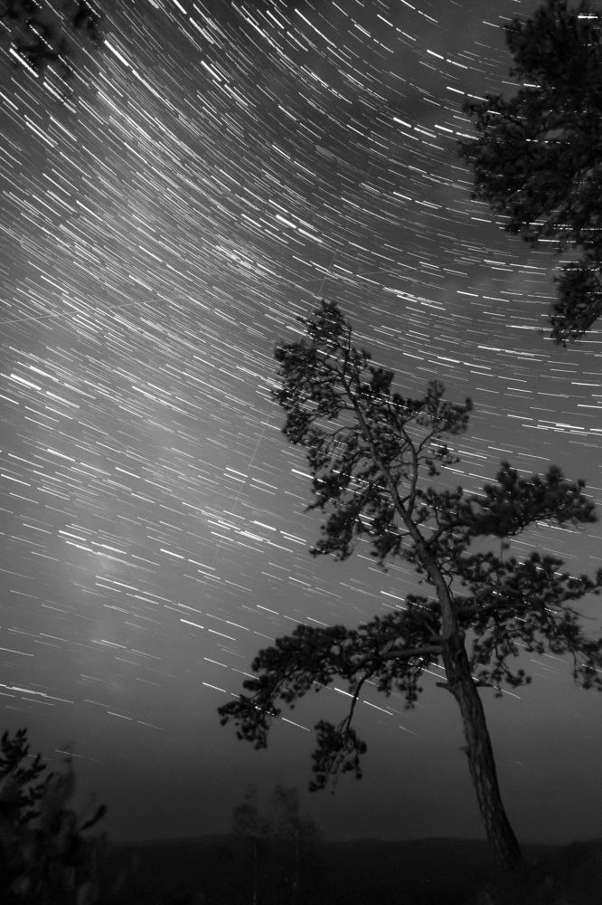 Photograph by Жданов Дмитрий