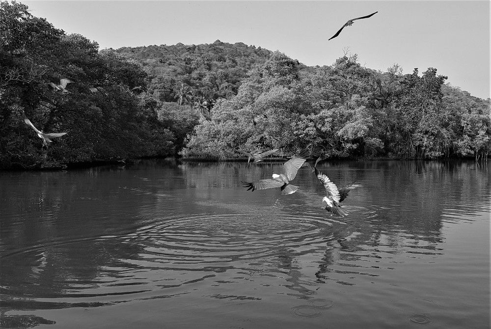 Фотография автора Максим Грибанов