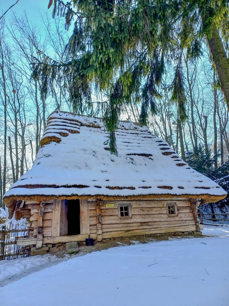 Photograph by Елена Шерман