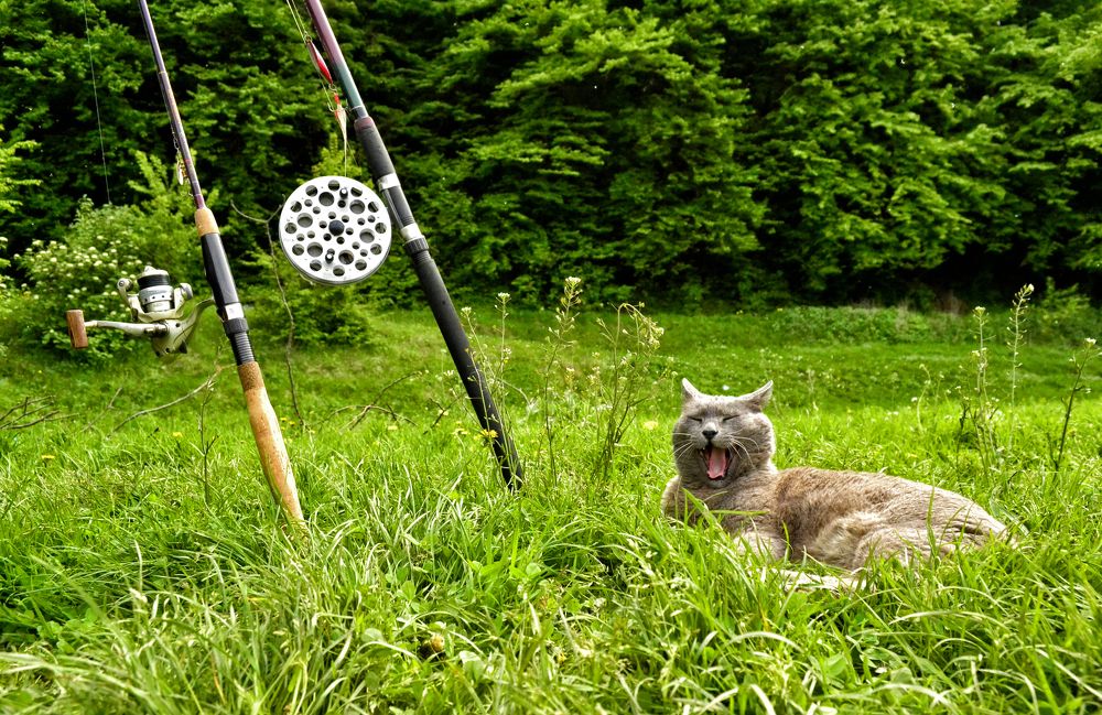 Photograph by Алеся