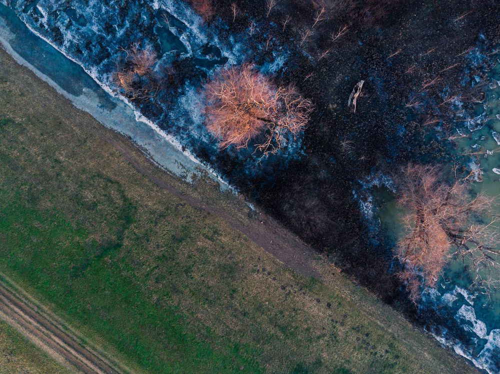 Фотография автора Török Balázs