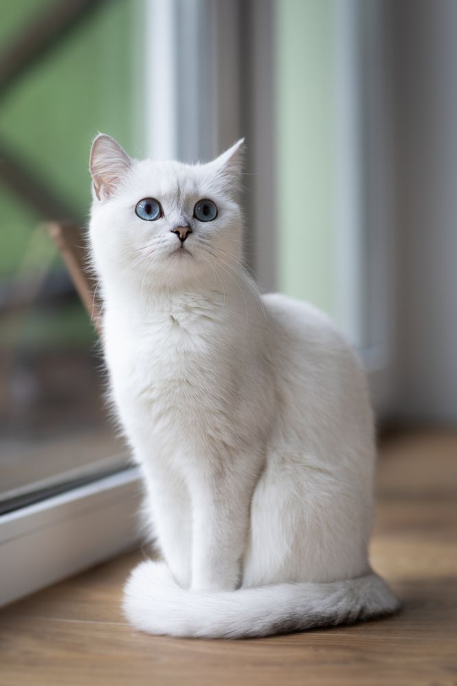 Photograph by Екатерина Каменцева