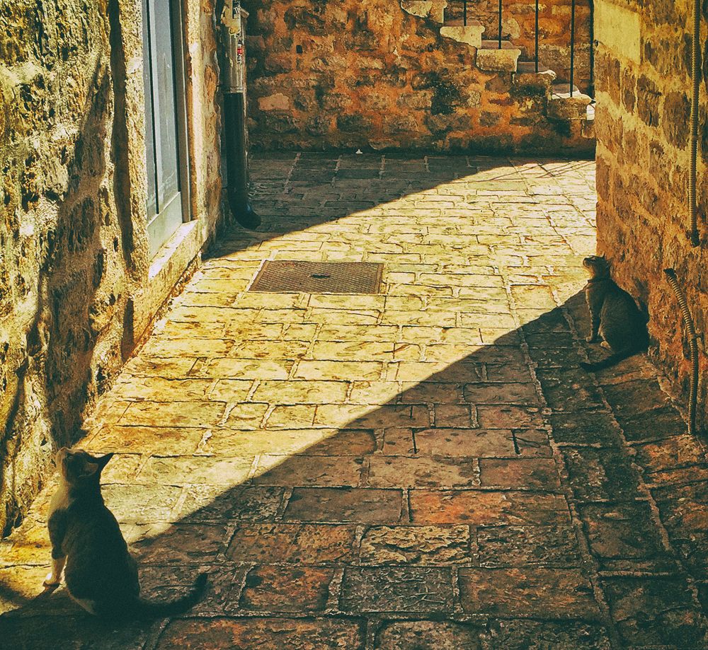 Photograph by Lana Cardi