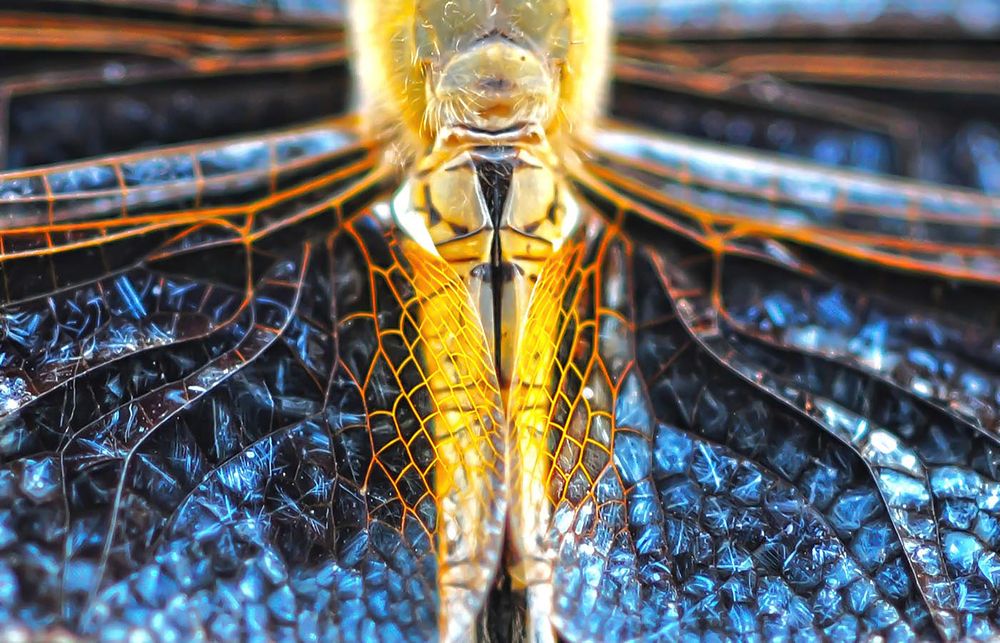 Photograph by Mihir Patilhande