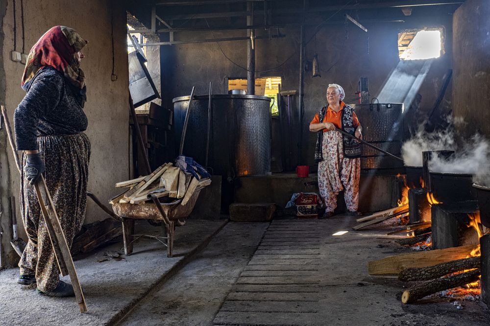 Фотография автора Aylin Turnator