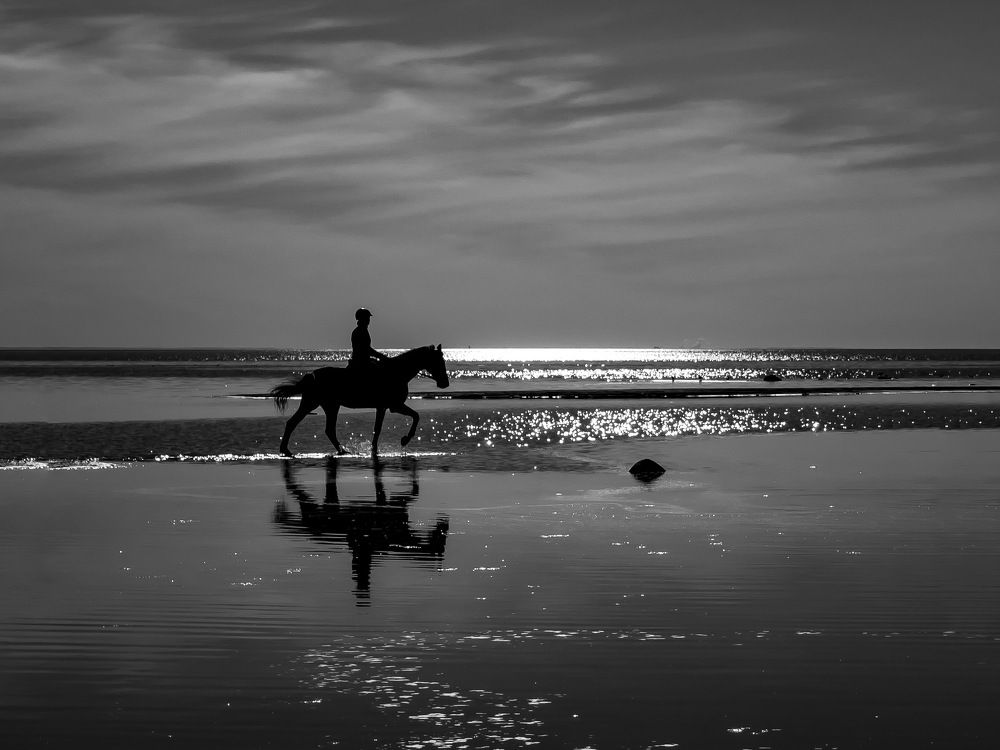 Фотография автора Sergey Sokolovsky