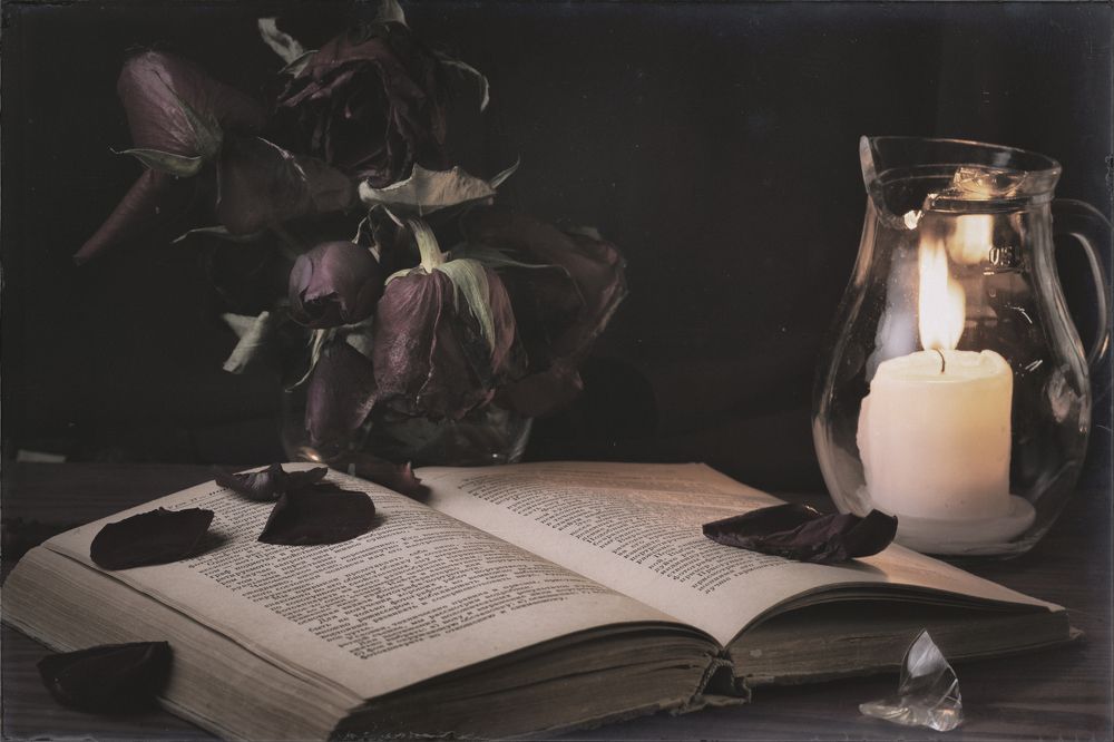 Photograph by Екатерина Каменцева