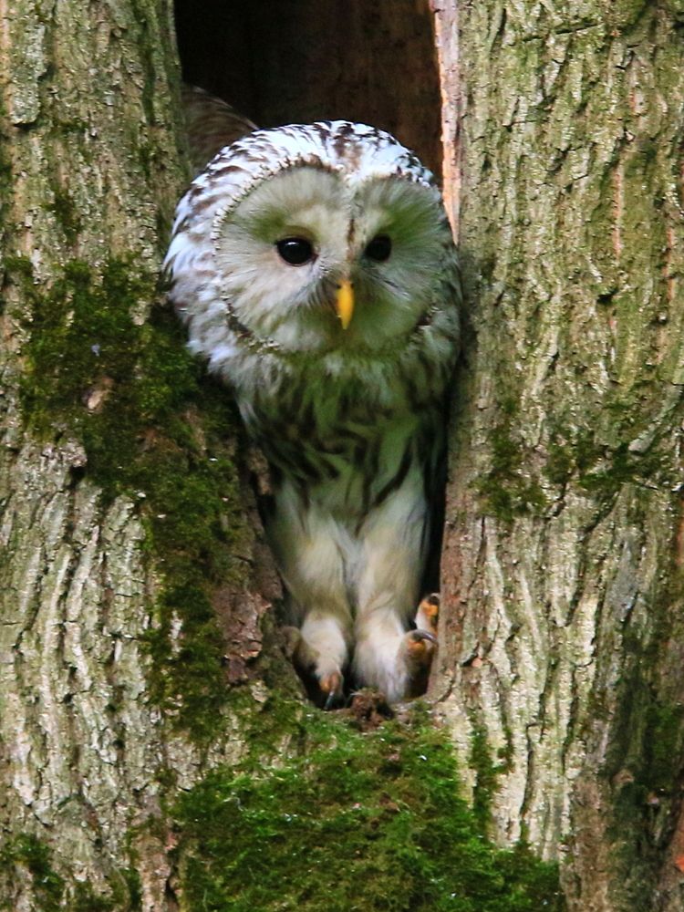 Photograph by Николай Кондаков