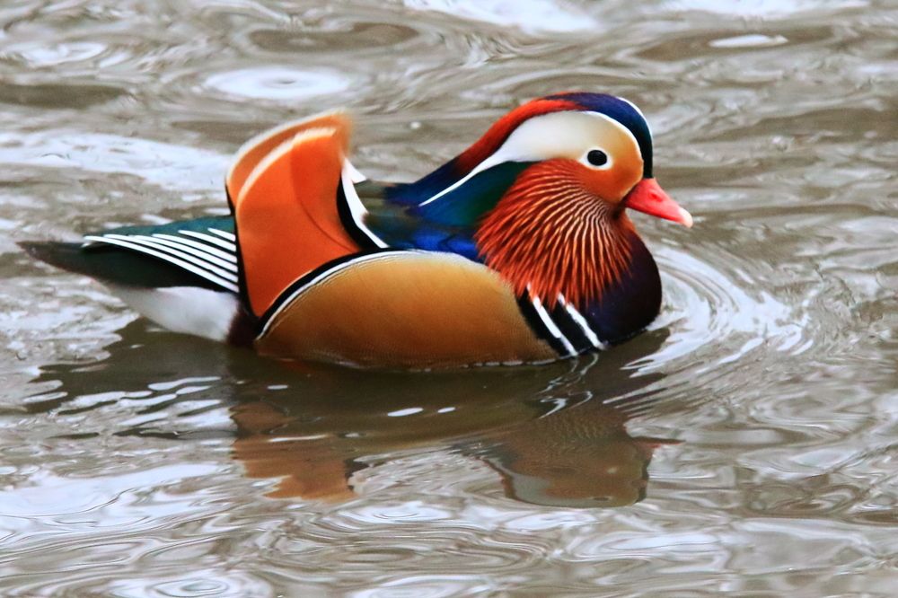 Photograph by Николай Кондаков