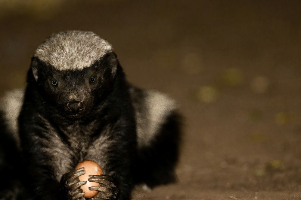 Photograph by Nikolay Stoyanov