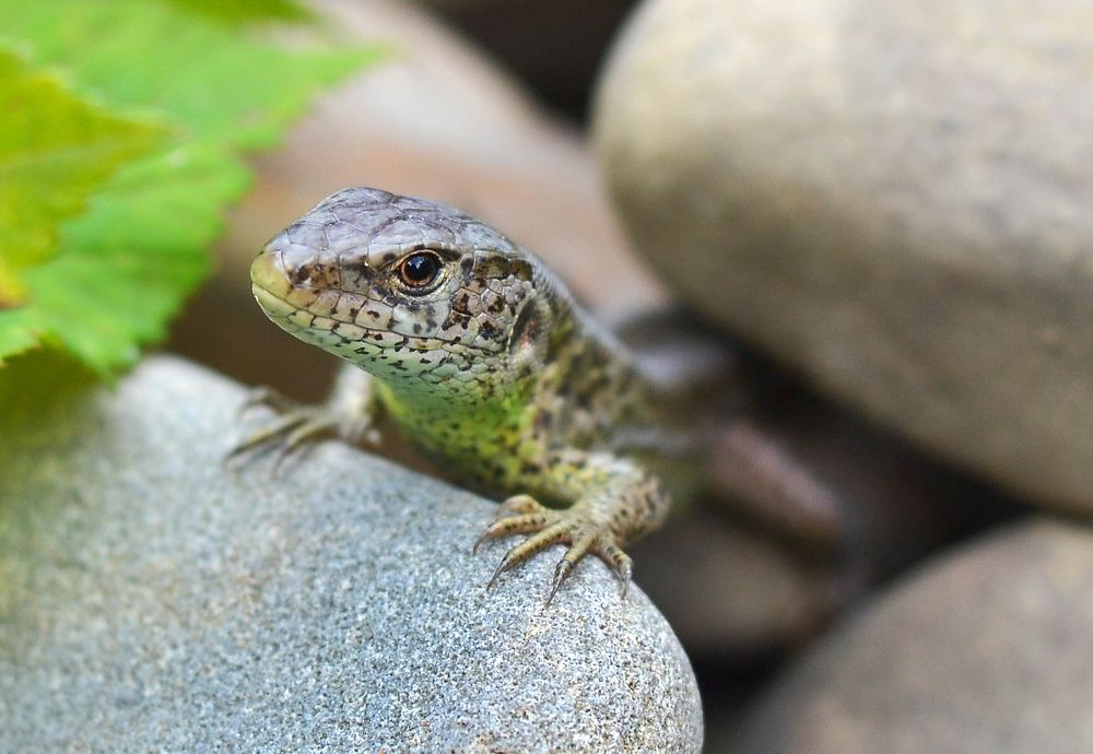 Photograph by Alesya Fartushnyak