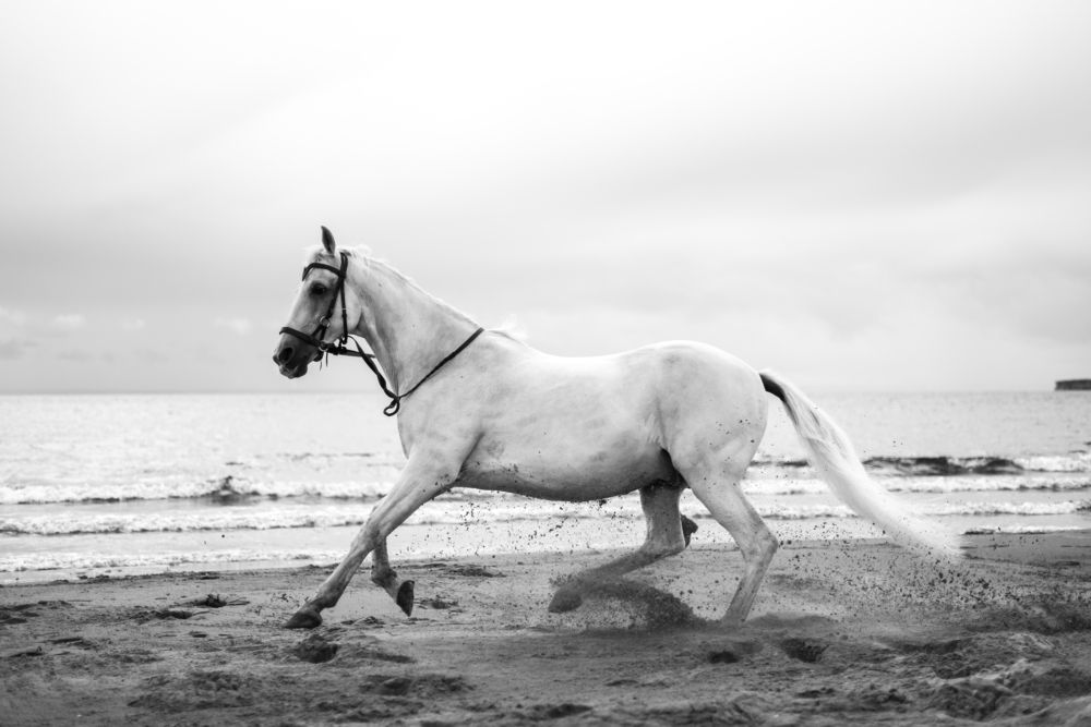 Фотография автора Мария Иодис