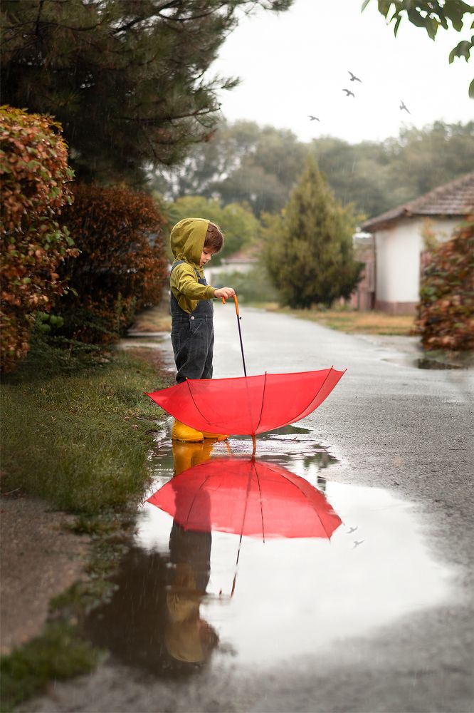 Photograph by Эльвира Бркич
