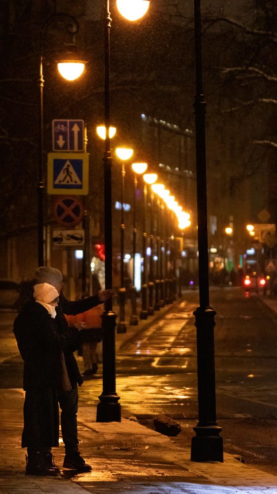 Зимние москвичи