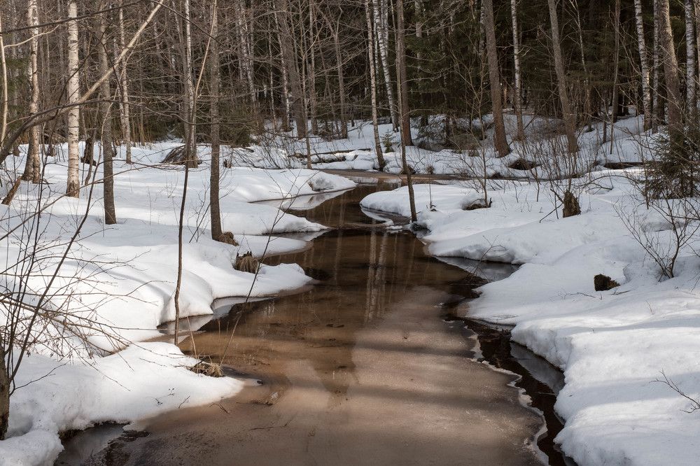 Photograph by Анна Рудякова