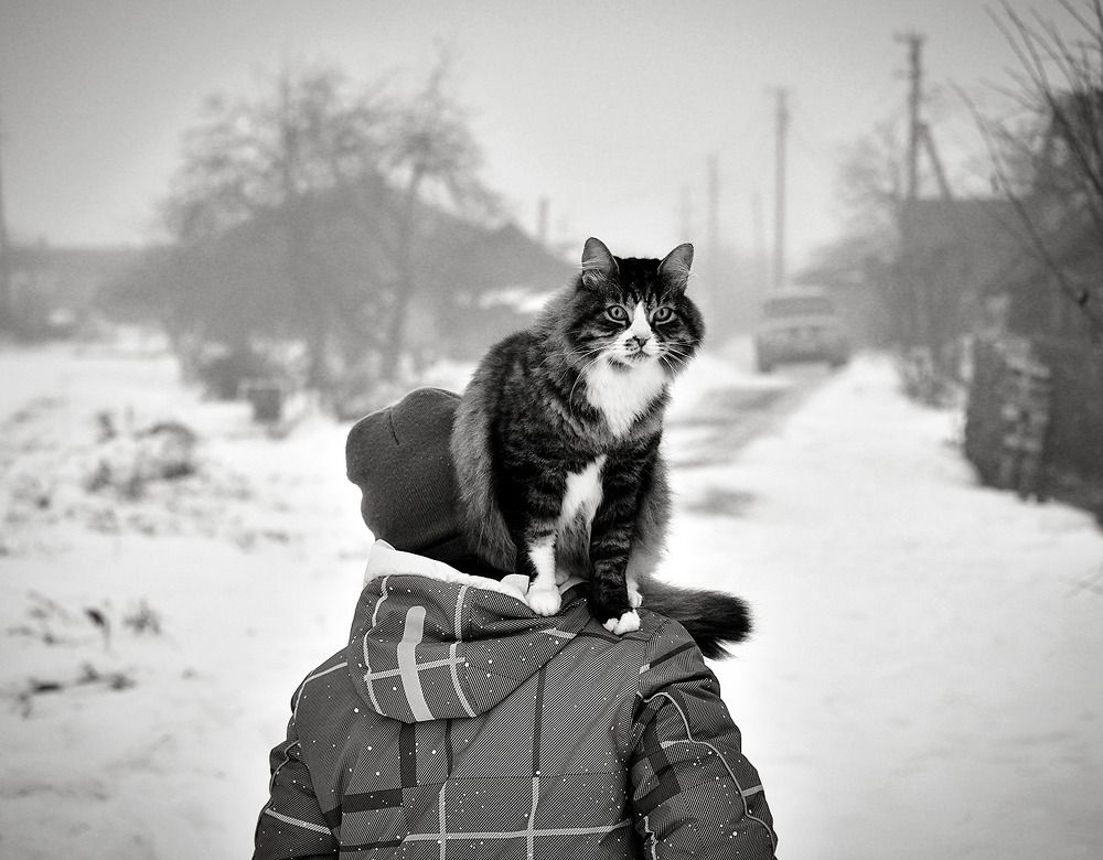 Photograph by Елена