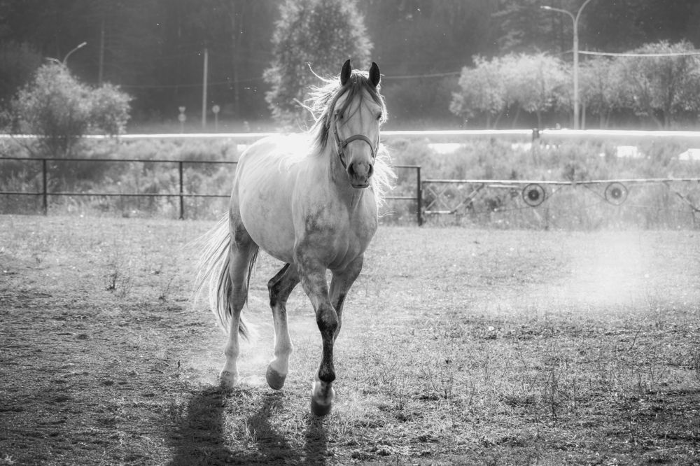 Photograph by Ольга Тюрина