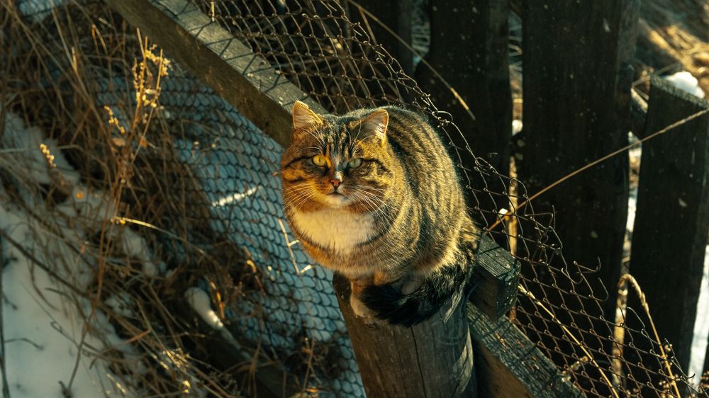 Photograph by Алексей Вайнман