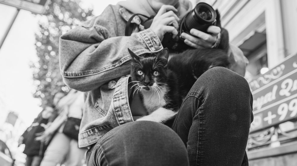 Photograph by Алексей Вайнман