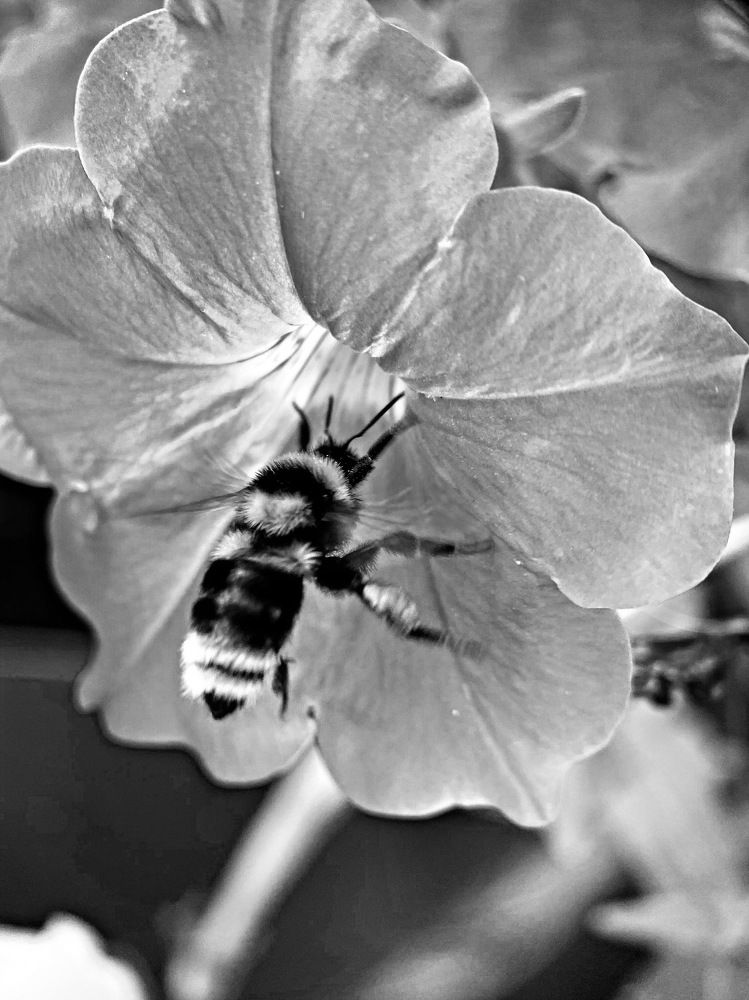 Photograph by Александра Гонтарь