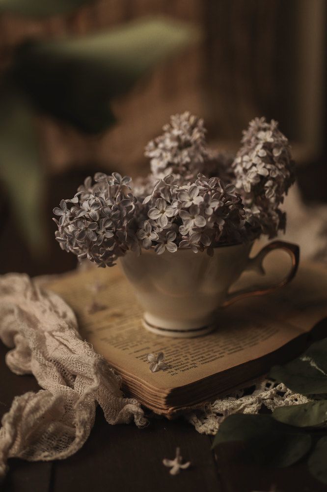 Photograph by Ирина Столбовая