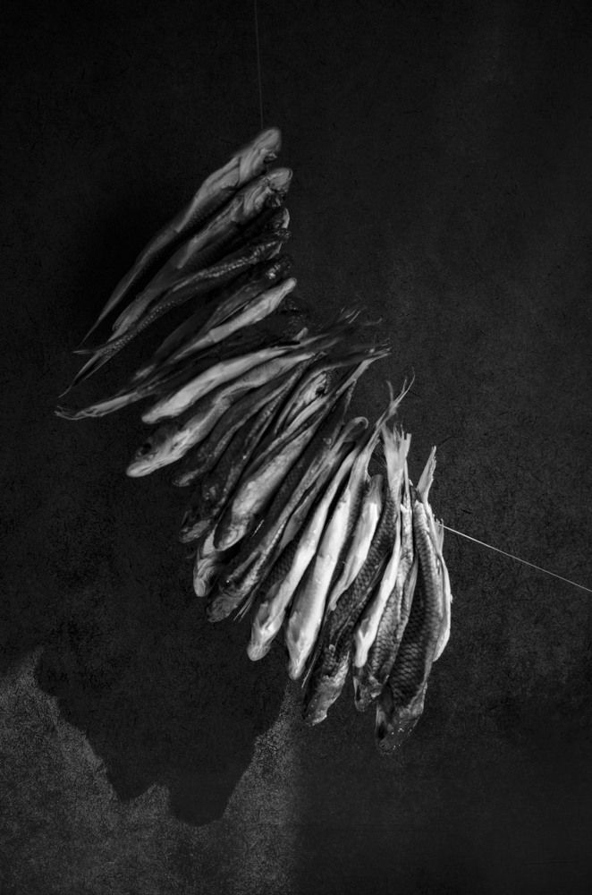 Photograph by Светлана Усова