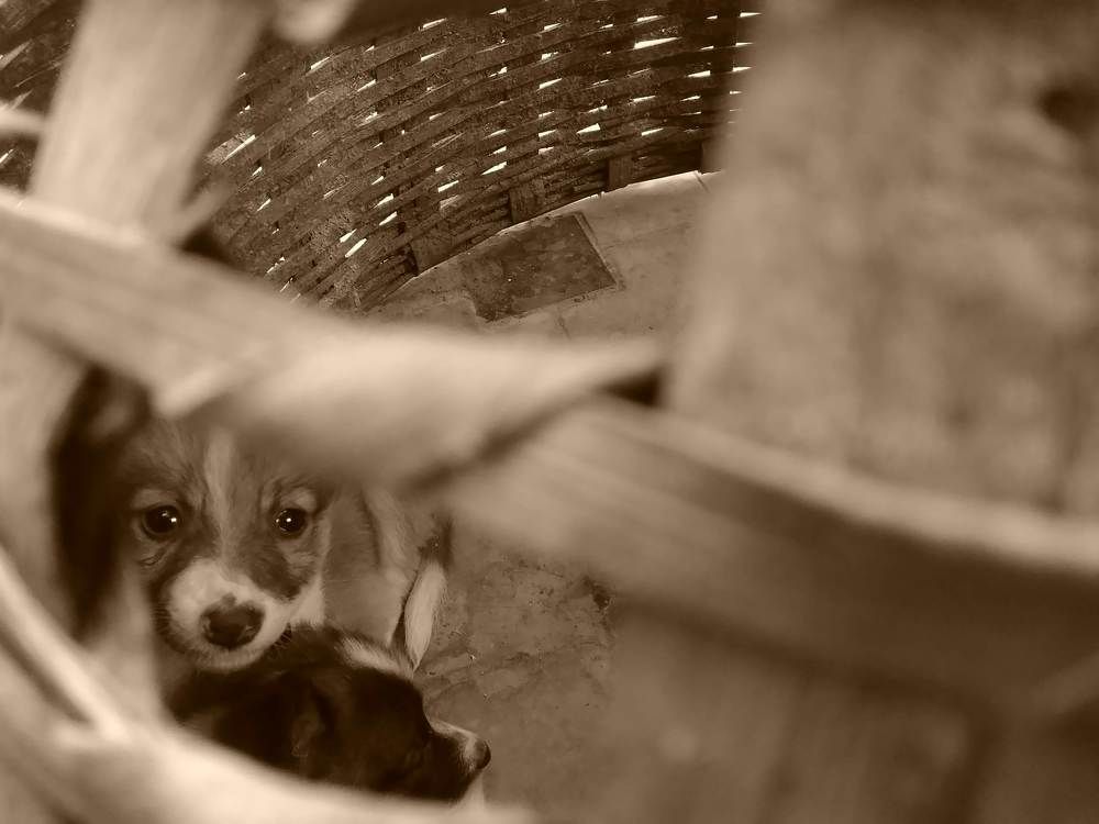 Photo #8806341